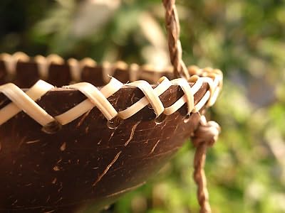 Amazon.co.jp: ココナッツ 椰子の実 小物入れ 吊り下げ アジアン バリ