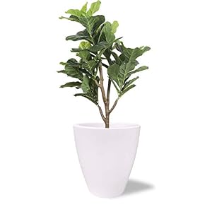 Elly Décor 18 inch Plastic Planter with Hole for Drainage, Outdoor Patio and House Decor, Lightweight & Resistant Plant…