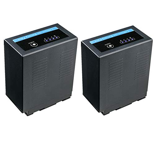 Kastar 2-Pack CGA-D54 Pro Battery Replacement for Panasonic AG-HVX200 AG-HVX200E AG-HVX200P AG-HVX200AP AG-HVX200AEN, AG-HVX201, NV-DS29 NV-DS29EG, NV-DS30 NV-DS30A NV-DS30EG Cameras