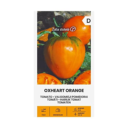 Zalia stotele | TOMATE COEUR DE BOEUF ORANGE des Graines | Graines de Légumes | Graines de Plantes | Graines de Jardin | 1 Paquet