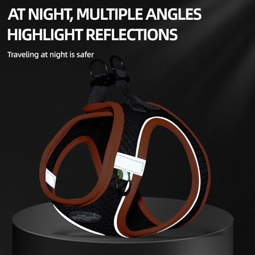 LOS ANDES Hundegeschirr mit Leine, Reflektierend, Weich Gepolstert, Air-Mesh, für Kleine Hunde und Katzen, in Grey Reflective, Größe S