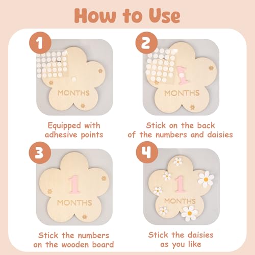 Image of Wooden Baby Announcement Sign & Baby Monthly Milestone Sign Set, Birth Announcement & 1-12 Months Interchangeable Discs for Newborn Girls Photo Props (Pink Numbers)