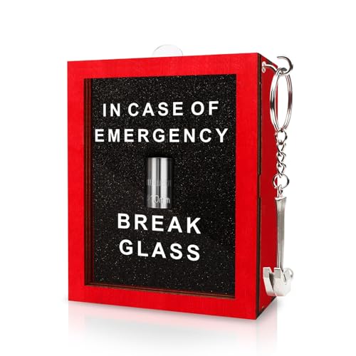 WenmthG Emergency 10mm Socket - Funny Gag Gift for Men - Break In Case of Emergency - Desk & Workshop Decor, Gift For Garage Wall