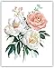 Floral Watercolor Flower Art Prints - Beautiful Vintage Rose Collection