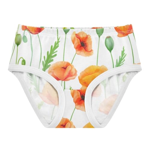 Funny Girls Underwear Toddler 2t Cotton Little Girl Panties Orange Poppy Flowers Green White Briefs Girls Undies
