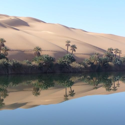 49 - Recover From Burnout: 5-Minute Desert Oasis Meditation