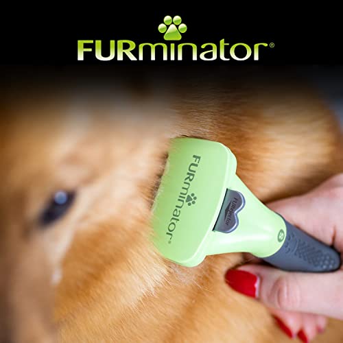 FURminator Ferramenta de descamação de subpêlo para cães pequenos de pelo longo, 4,5-9 kg, transpare