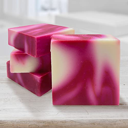 Age Of Sage Handmade Natural Bar Soap Gift Set - 100% All Organic Vegan Bath Moisturizing Handmade Artisan Scented Cold Process Fragrant Soaps With Essential Oil - 4 Pack (Plumeria) #TOP1