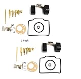 WhatApart (2) Repair Rebuilt Kit for PZ16 50cc Carburetor (16mm) PZ-16 Compatible with KAZUMA Meerk Jonway Coolster Baja