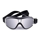 Aspecto súper elegante: los lentes negros y plateados le dan a su perro un aspecto fascinante al caminar, nadar, andar en motocicleta o conducir.