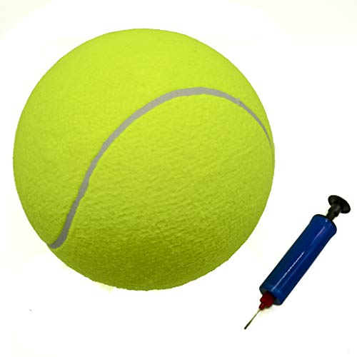 Wie Groß Ist Ein Tennisball Die 16 besten Produkte im Vergleich HundeINFOPortal
