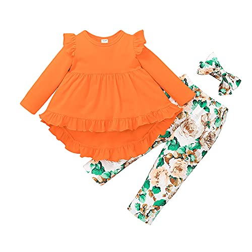 Edjude Conjunto de ropa para bebés y niñas pequeñas de manga larga camiseta Tops pantalones 2 piezas sudadera conjuntos para bebés, Naranja 01597, 3-4 Años Cover