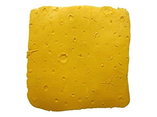 Walttools Seamless Concrete Stamp Seascape Ocean Floor Texturing Skin Set Authentic Decorative Pattern - Concrete, Cement, Overlay (4 piece)