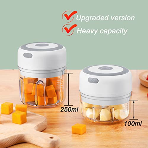 Electric Mini Garlic Chopper, 250Ml Usb Mini Food Chopper Garlic Mincer, Vegetable Chopper, Onion Chopper, Portable Small Food Processor For Garlic, Ginger, Chili, Vegetables #TOP1