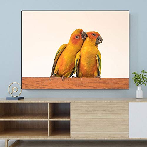 Kit Diamond Painting deux perroquets 5D grand format 50x100cm pour mosaïque adulte