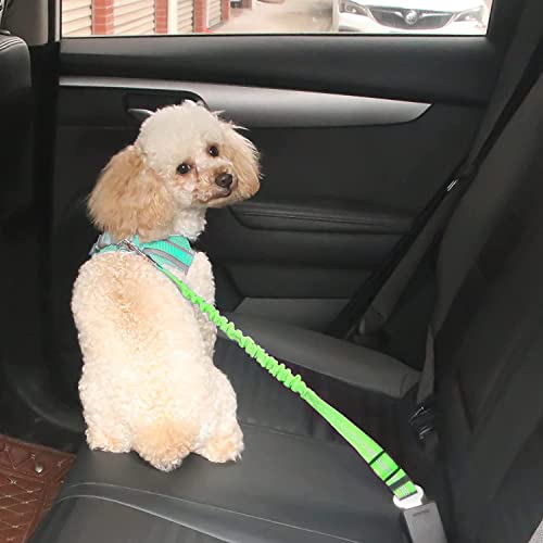 Hpethf Dog Harness For Small Dogs Leashes Set,Soft No Pull Adjustable Breathable Mesh Leash And Harness Vest Belt For Puppy,Small,Medium Dogs And Cats(Xs-Gn) #TOP4