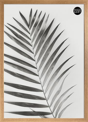 pf+a Wide Oak Effect Frame For 50x70 cm Poster - Perspex Window - 50x70cm Oak Effect Poster Frame / 50x70cm