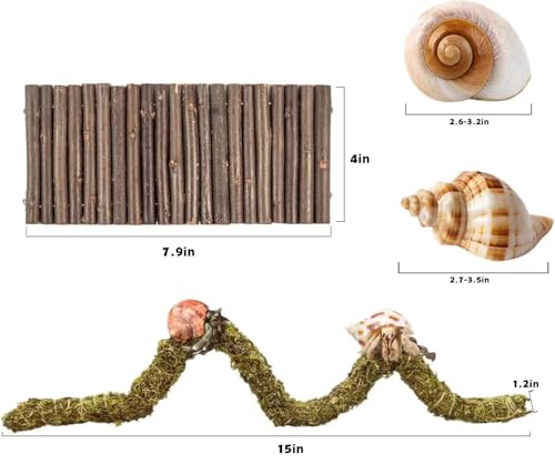 COSOC Hermit Crab Accessories, Hermit Crab Shells Natural Adjustable Climbing Toys Bendable Bridge, Plants for Reptiles & Amphibians Supplies (A-Group-4PCS)