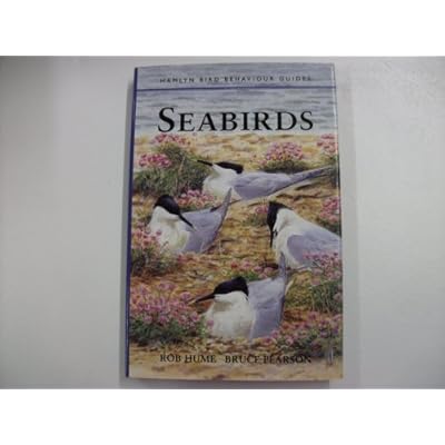Seabirds