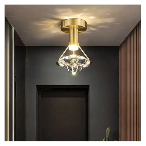 VfA, _LEDNX^V䃉v z[fR[V ʘH tg L Vy_gCg VfAƖ Ɩ(10CM)