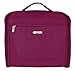 Travelon Mini Independence Bag