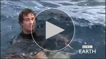 41HcL7kJzSL._SY350_PKmb-play-