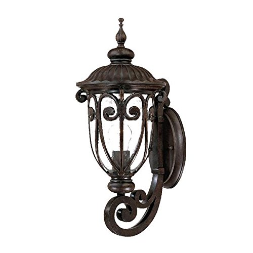 Black Friday Clearance Acclaim 2101MM Naples Collection 1-Light Wall Mount Outdoor Light Fixture, Marbleized Mahogany