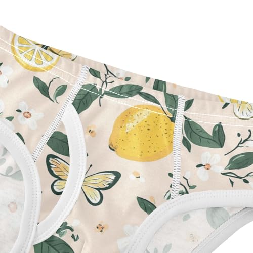 Wusikd Cute Lemons Boys' Underwear Cotton Butterflies Flowers Boys Briefs Soft Toddler Underwear 2T4