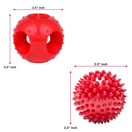 Image of Foodie Puppies Dog Rubber Chew Toy Combo (Spike Ball Toy + Hole Ball Toy) - Color May Vary