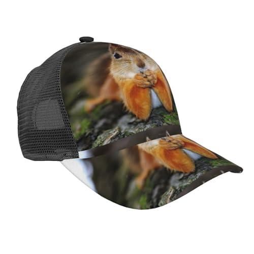 HKHLHLH Divertido sombrero de camionero de verano con estampado de ardilla, gorra de béisbol ajustable clásica para mujeres y hombres para viajar, Negro, Talla única