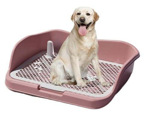 Fiozwea tFXtO\􂦂錢pgCF@\tpgCB^bV{EAitgCA͂˖h~A􂦂PPfށB (l)