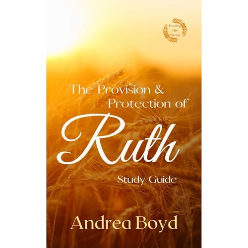 The Provision & Protection of Ruth Audiolibro Por Andrea Boyd arte de portada
