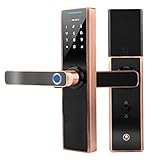 Erweiterte Fingerabdruckerkennung, kontaktlose Karte und Passwort.