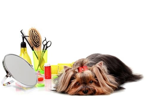 OZLHSP puzz 3D Puzzle 500 Piezas Animales perfumados Yorkshire...