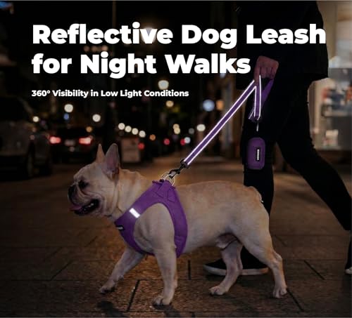 Image of Best Pet Supplies Voyager Reflective Dog Leash or Collar with Neoprene Handle, for Small, Medium, and Large Breed Puppies, Cute and Heavy Duty for Walking, Running and Training - Purple (Leash), S