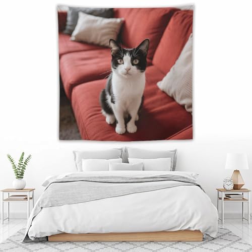 Tapisserie murale bohème chat pour créer un coin lecture cosy dans votre chambre - 6