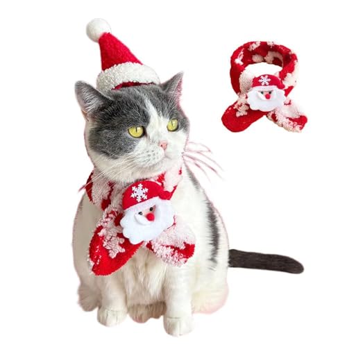 Yucahype NX}X ybg RX`[ RXv  Lp }t[ Xq  ߑ ybg ^ ^ ^ NX}X ʐ^Be (L bh)