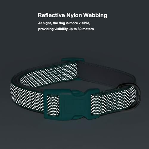 Collar Reflectivo para Perros Ajustable de Nylon y Neopreno miniatura 3