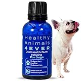 HA4E - Dog Oral Health Supplement - Relieves Inflammation, Soothes Pain & Fights Gum Disease - Natural, Non-GMO, Organic, Gluten-Free & Chemical-Free - 300 Tablets