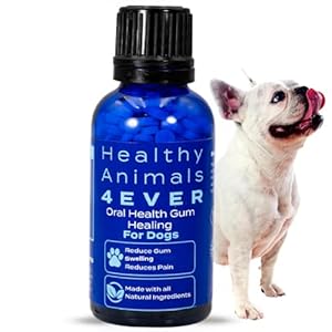 HA4E – Dog Oral Health Supplement – Relieves Inflammation, Soothes Pain & Fights Gum Disease – Natural, Non-GMO, Organic, Gluten-Free & Chemical-Free – 300 Tablets