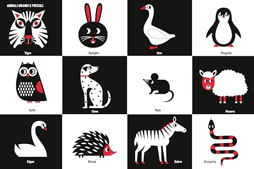 Buongiorno Mondo. Un Libro Ad Alto Contrasto. Ediz. A Colori - 10