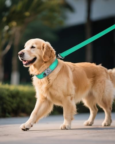 Image of Joytale Dog Collar for Extra Large Dogs, Neoprene Padded and Adjustable, Reflective Wide Heavy Duty Pet Collars with Durable Metal Belt Buckle for Walking, Teal, XL