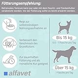 alfavet ReConvales Tonicum Hund, Doppelpack, appetitanregendes Ergänzungsfuttermittel zur Rekonvaleszenz und bei Untergewicht, 2 x 6x90 ml Flasche