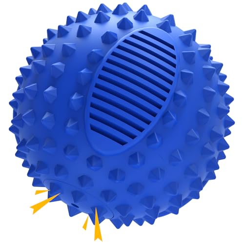petizer 3