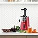 Omega Juicer Cold Press 365 Vertical Slow Masticating Extractor for Fruits and Vegetables, BPA-Free, 65 RPM, 150-Watts, Red
