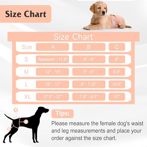 Image of Reusable Female Dog Diaper, Highly Absorbent Doggie Diapers for Dogs, Dog Diapers Female Large, Blue & Pink