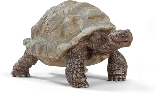 SCHLEICH WILD Life | Riesenschildkröte 14824 | detailgetreue Tierfiguren | Zoo Spielzeug Jungen und Mädchen | Deko für Geburtstag | Spielfigur ab 3 Jahren | 8 x 4 x 4 cm SCHLEICH WILD Life | Riesenschildkröte 14824 | detailgetreue Tierfiguren | Zoo Spielzeug Jungen und Mädchen | Deko für Geburtstag | Spielfigur ab 3 Jahren | 8 x 4 x 4 cm