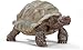 Produktbild SCHLEICH WILD Life | Riesenschildkröte 14824 | detailgetreue Tierfiguren | Zoo Spielzeug | tolles Geschenk für Jungen und Mädchen | Deko für Geburtstag | Spielfigur ab 3 Jahren | 8 x 4 x 4 cm