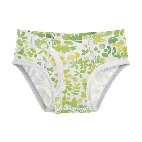 KLL Watercolor Baby Boys Comfort Briefs Cute Children Undies