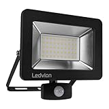 Ledvion